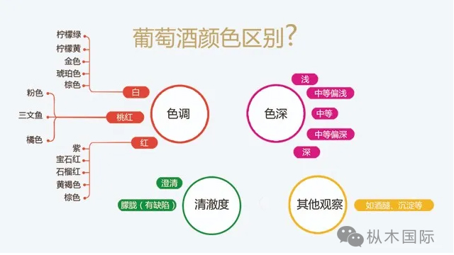 如何觀葡萄酒顏色？.jpg